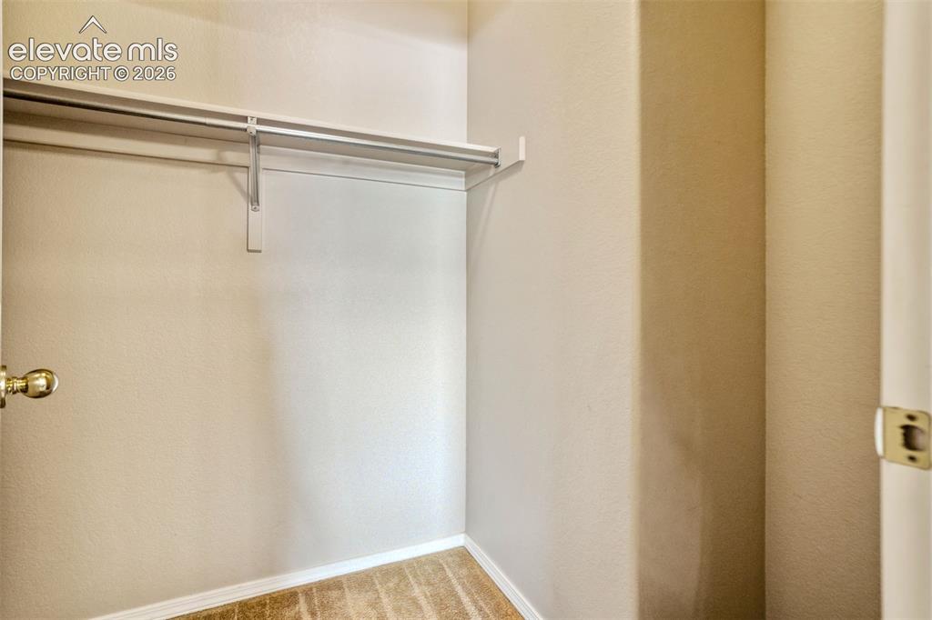 3040 Mandalay Grove Colorado Springs CO 80917