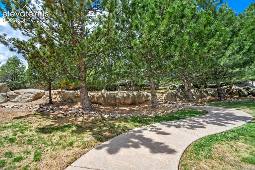 3040 Mandalay Grove Colorado Springs CO 80917