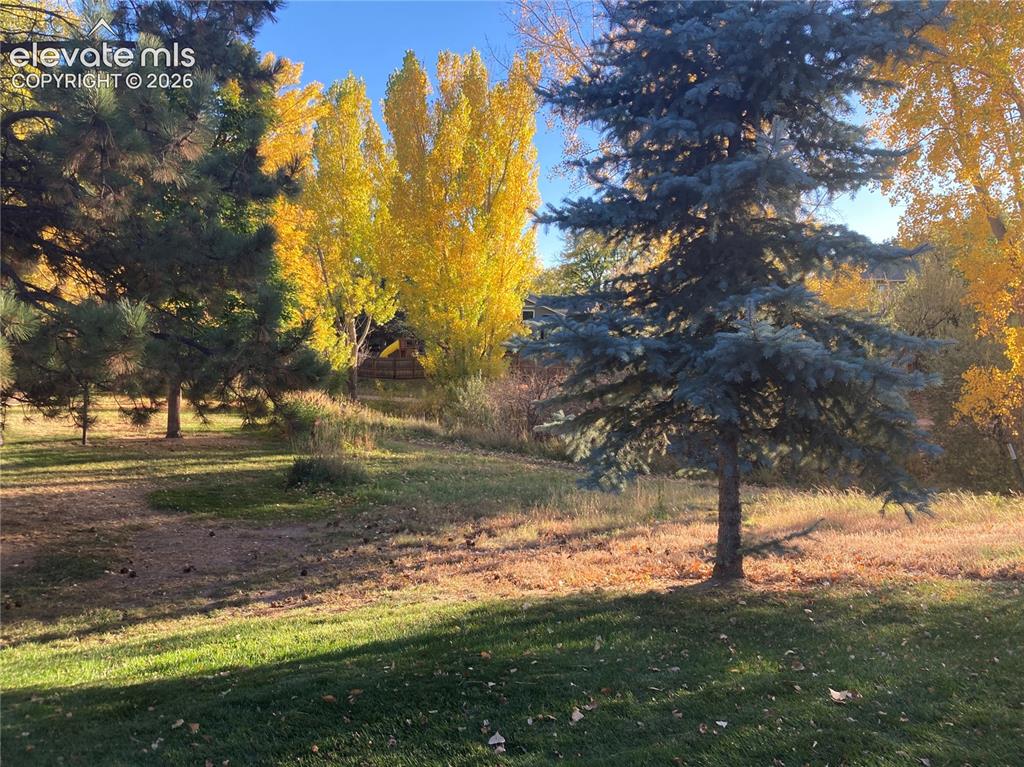 6542 Foxdale Circle Colorado Springs CO 80909