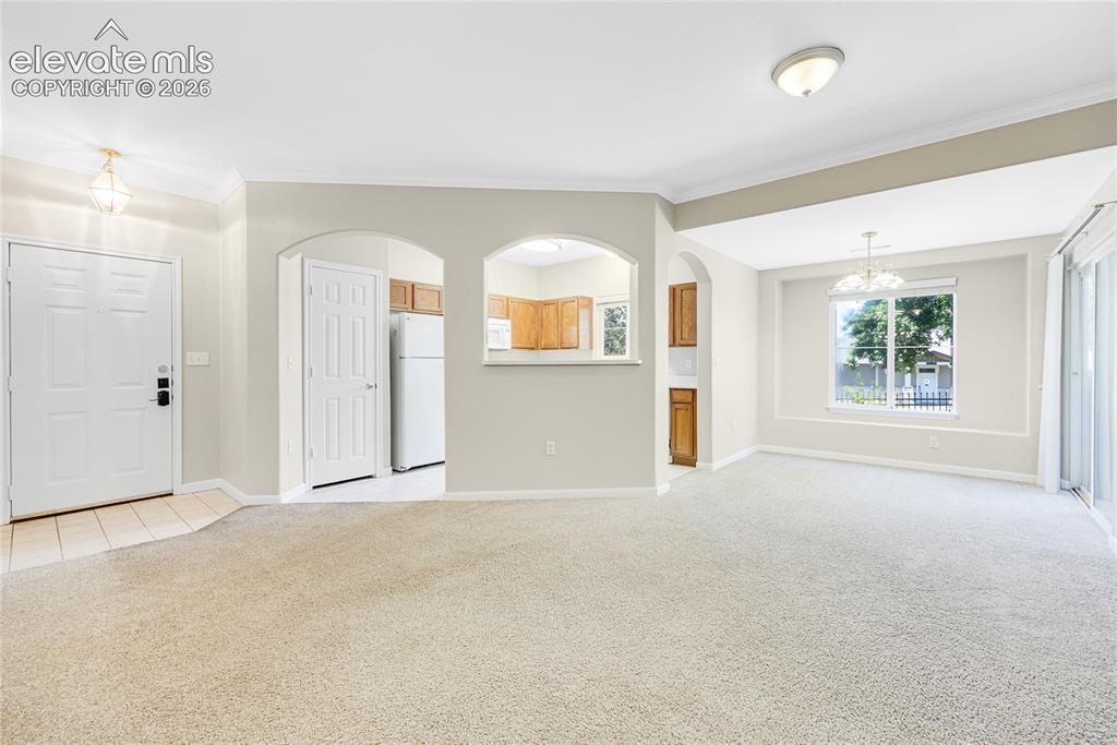 3864 Riviera Grove Colorado Springs CO 80922
