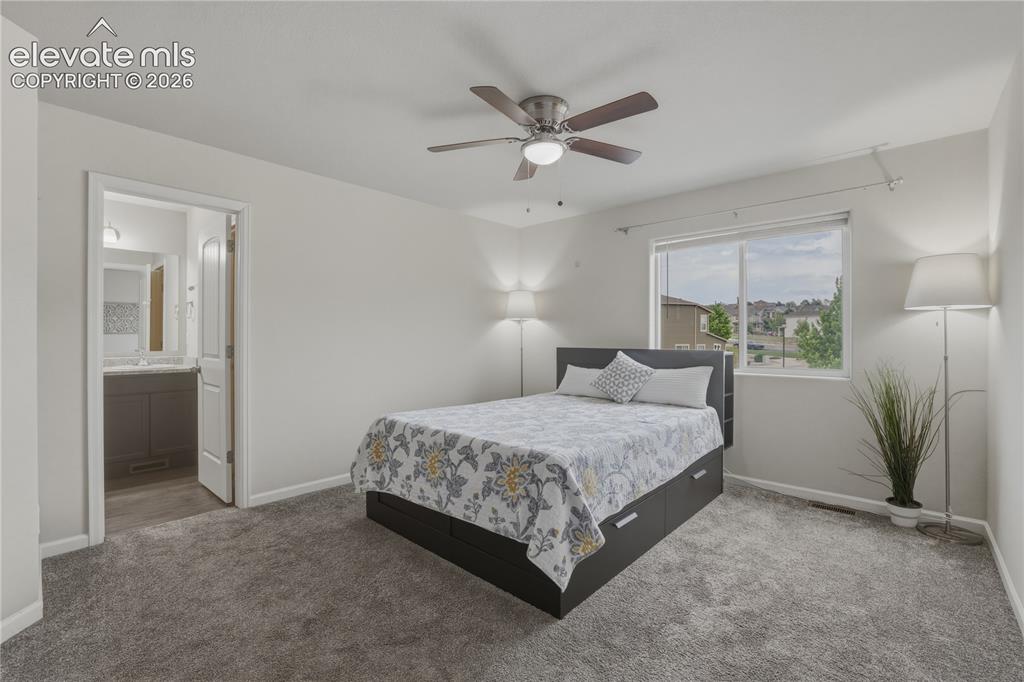 2093 Birmingham Loop Colorado Springs CO 80910