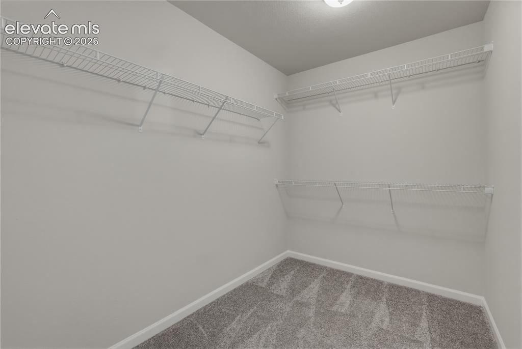 2093 Birmingham Loop Colorado Springs CO 80910