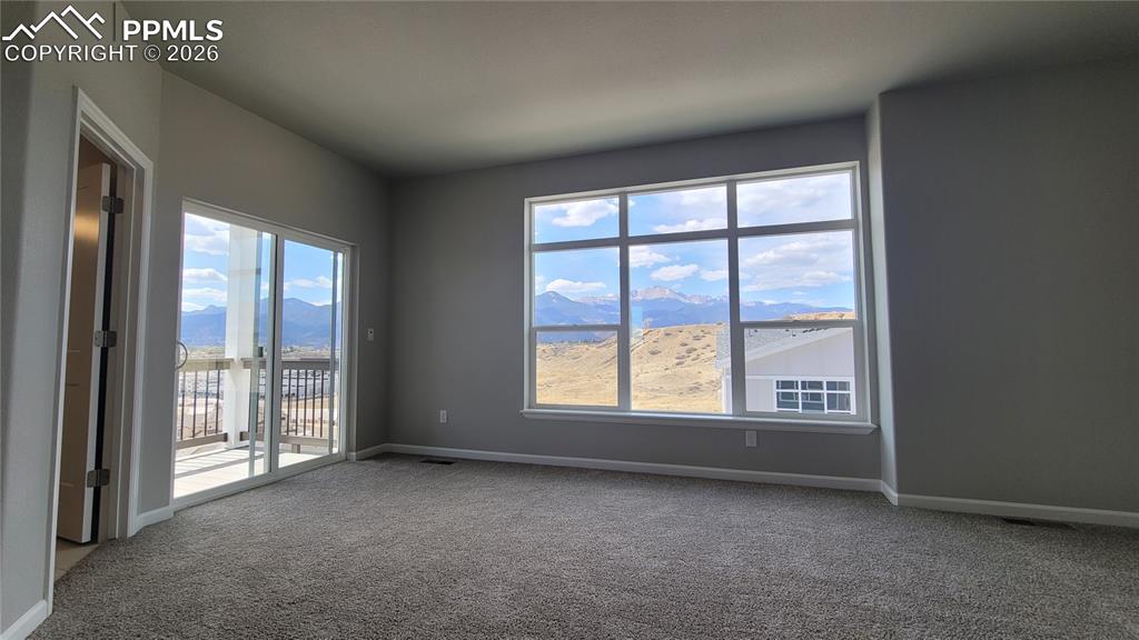 705 Belleza View Colorado Springs CO 80907