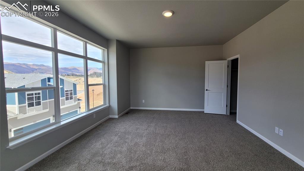 705 Belleza View Colorado Springs CO 80907