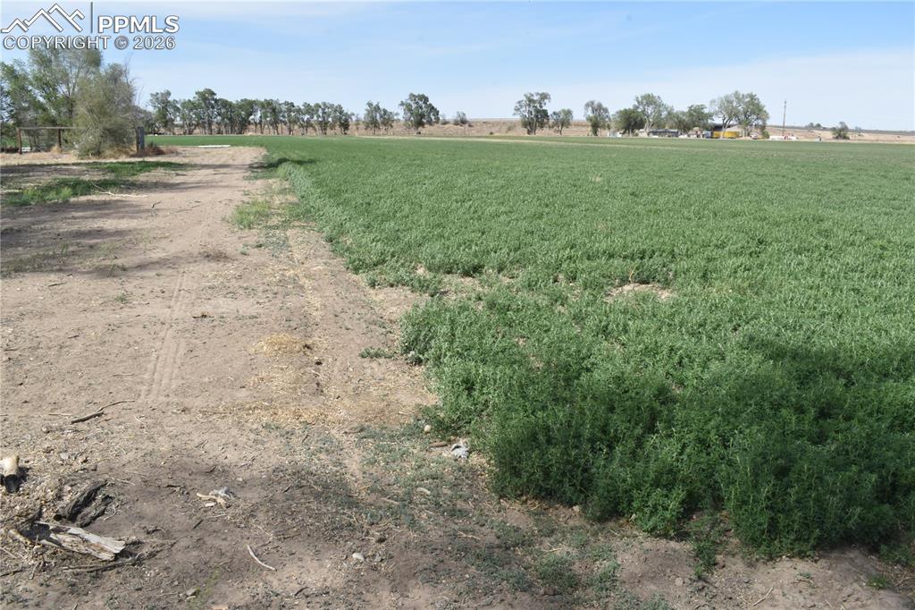 12521 County Road Jj Manzanola CO 81058