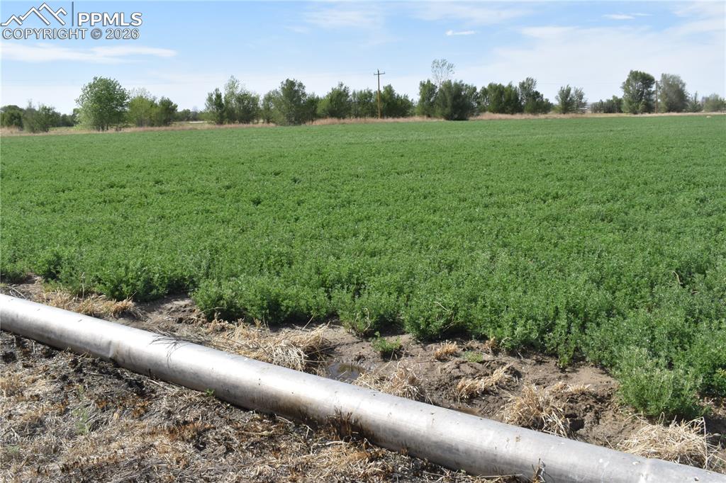 12521 County Road Jj Manzanola CO 81058