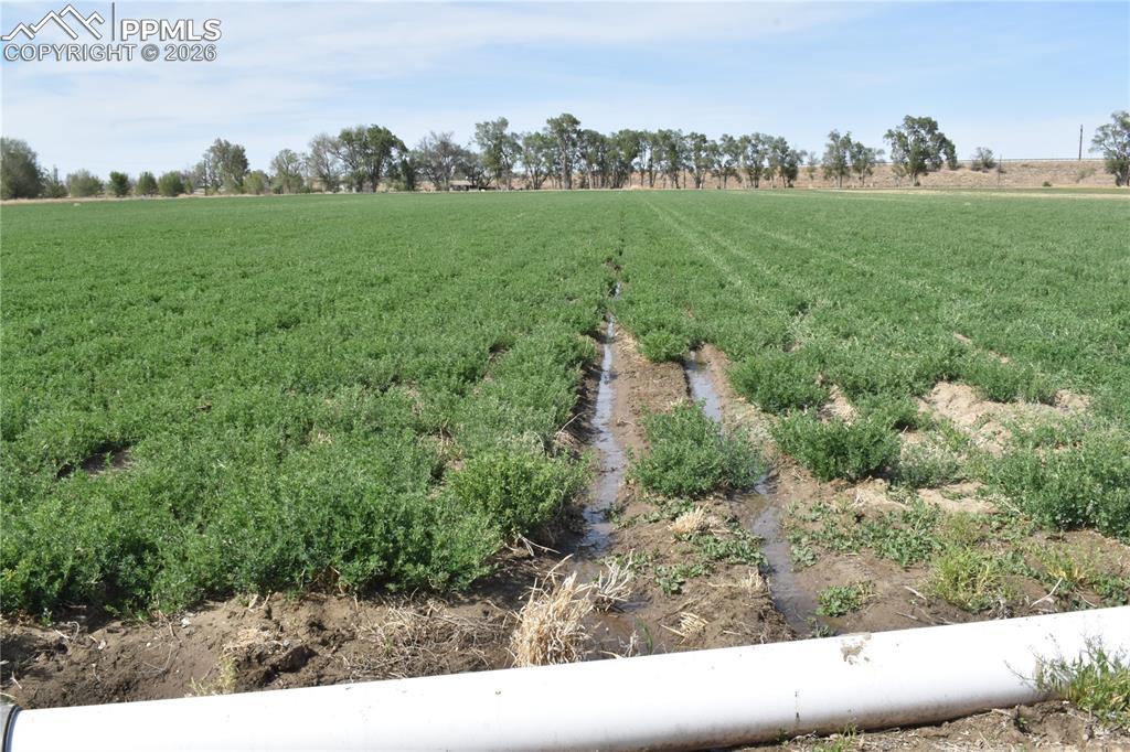 12521 County Road Jj Manzanola CO 81058