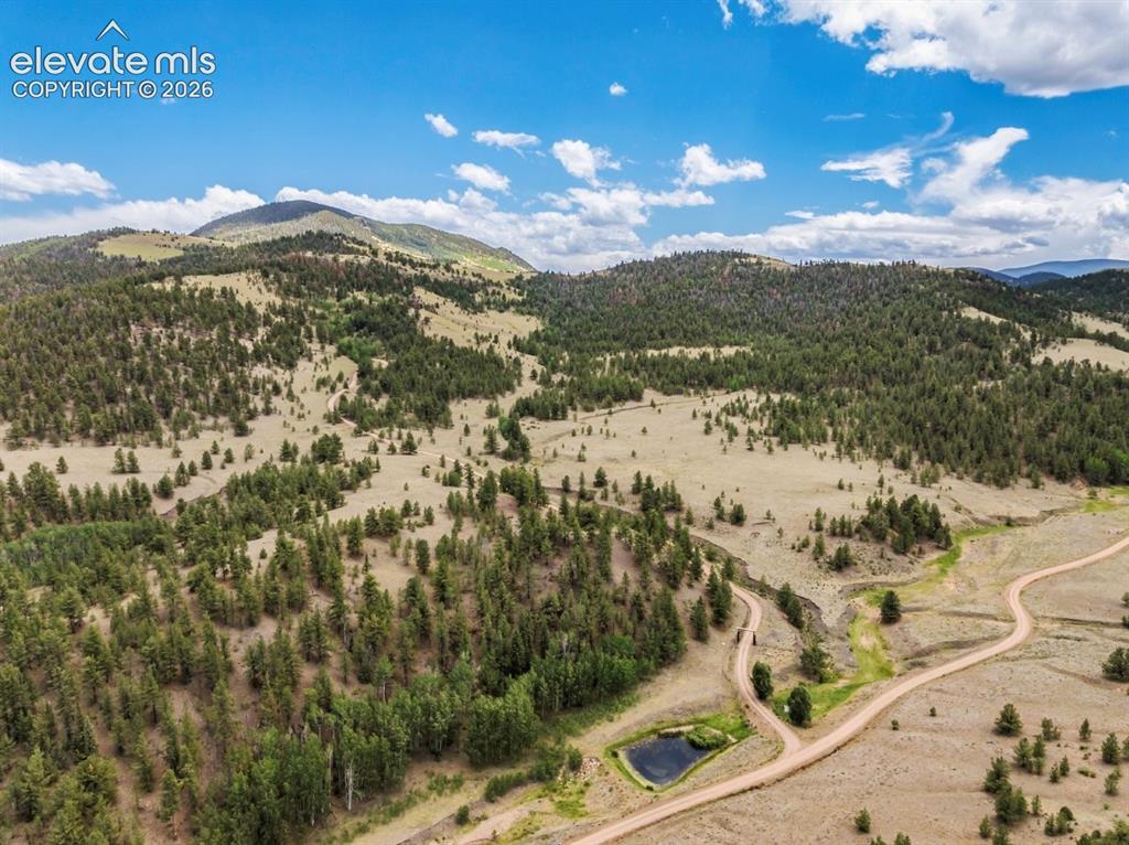 2416 Aspen Meadows Lane Guffey CO 80820
