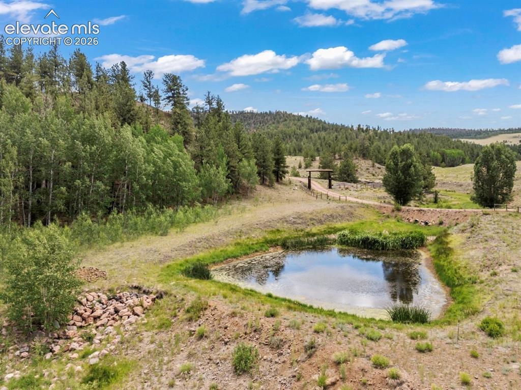 2416 Aspen Meadows Lane Guffey CO 80820