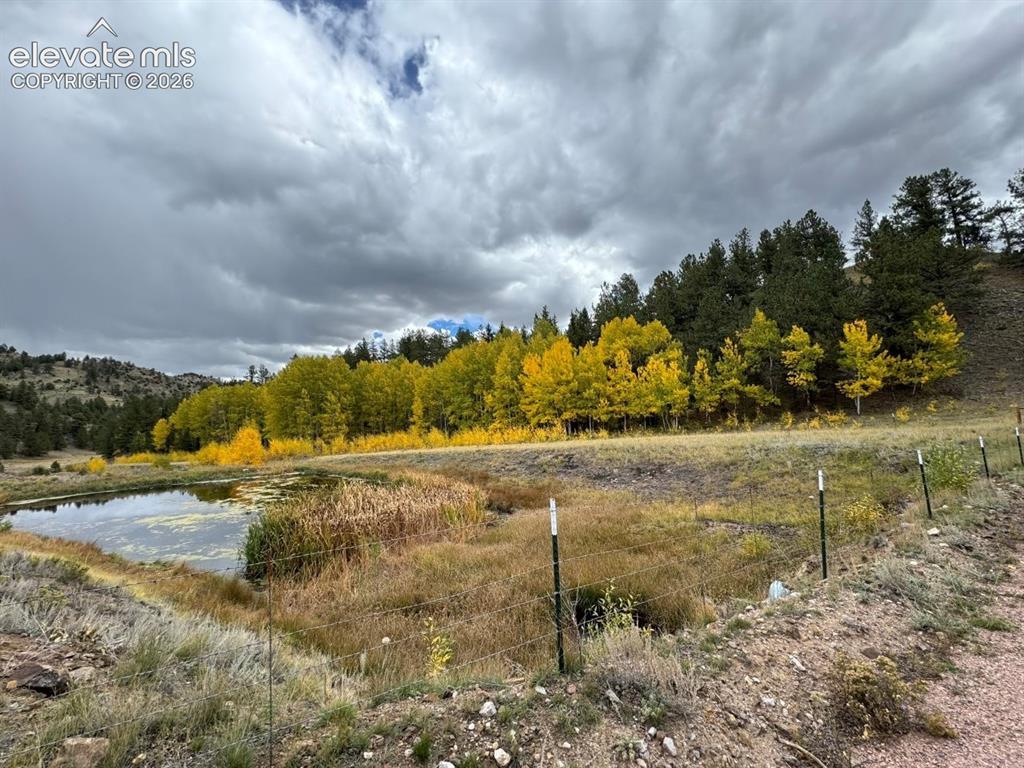 2416 Aspen Meadows Lane Guffey CO 80820