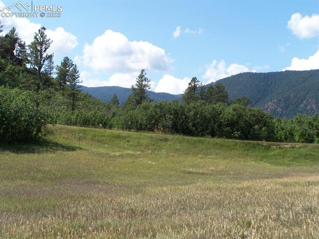 5905 Country Club Drive Larkspur CO 80118
