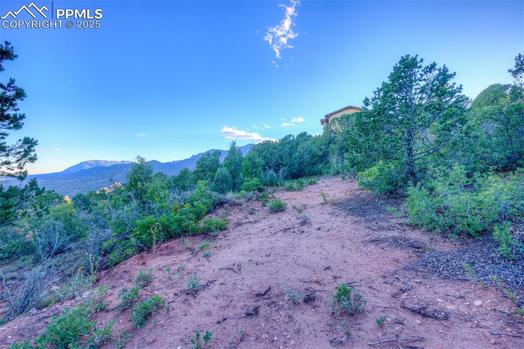 3135 Angel Terrace Colorado Springs CO 80904