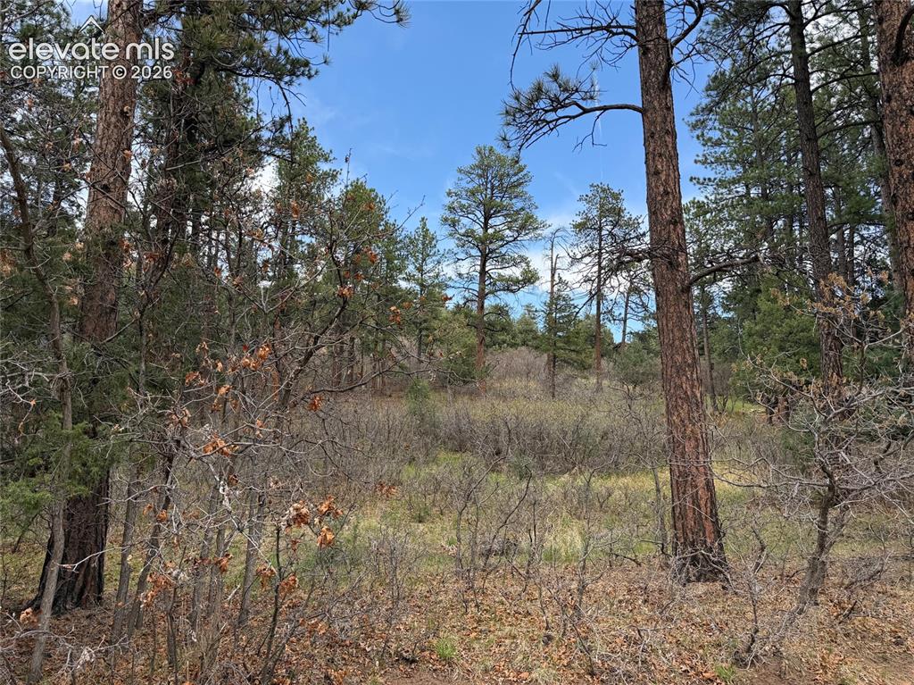 4885 Red Rock Drive Larkspur CO 80118