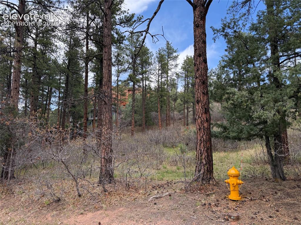 4885 Red Rock Drive Larkspur CO 80118