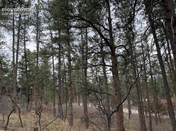 4885 Red Rock Drive Larkspur CO 80118