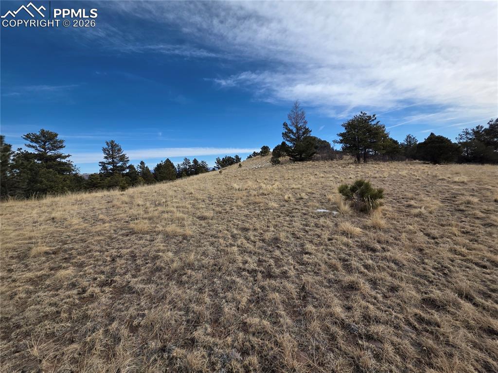 761 Basswood Lane Canon City CO 81212