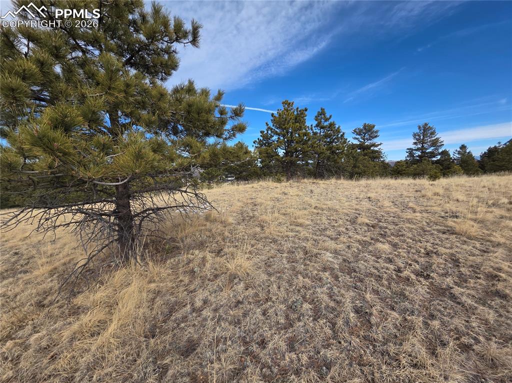 761 Basswood Lane Canon City CO 81212