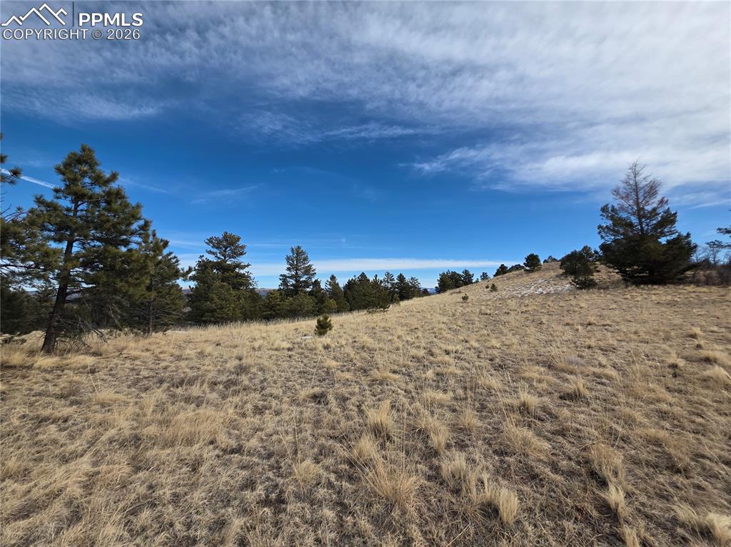 761 Basswood Lane Canon City CO 81212