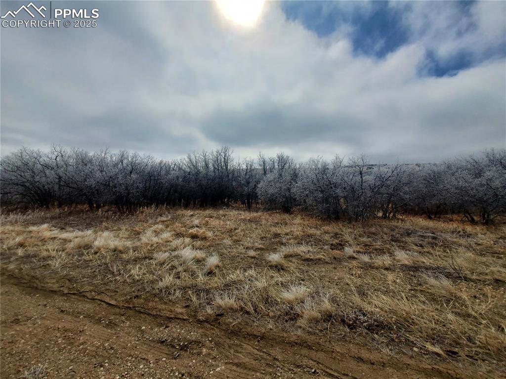 Thacker Road Colorado City CO 81069