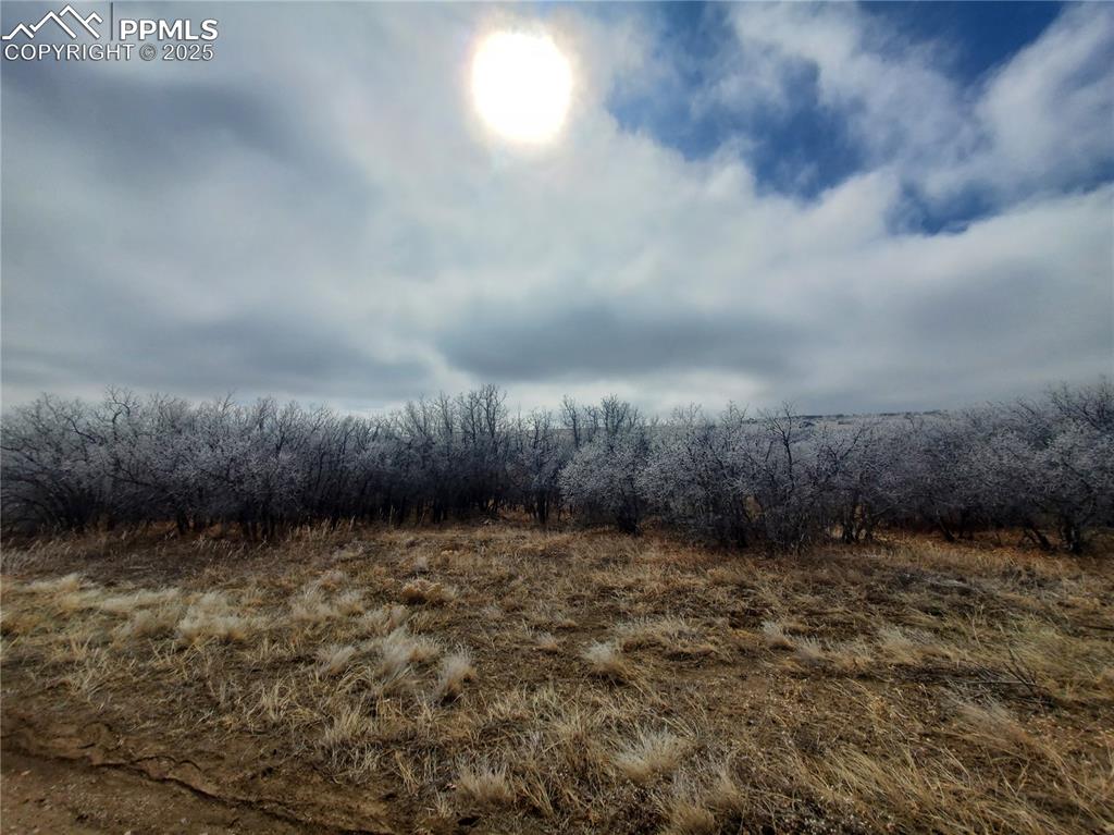 Thacker Road Colorado City CO 81069