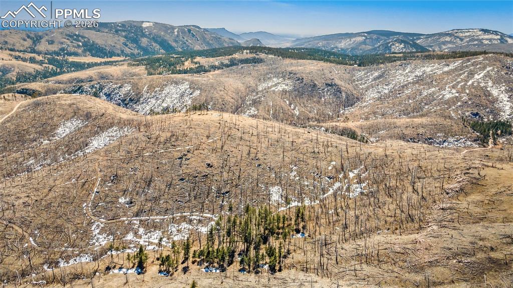 0 Rist Creek Road Bellvue CO 80512