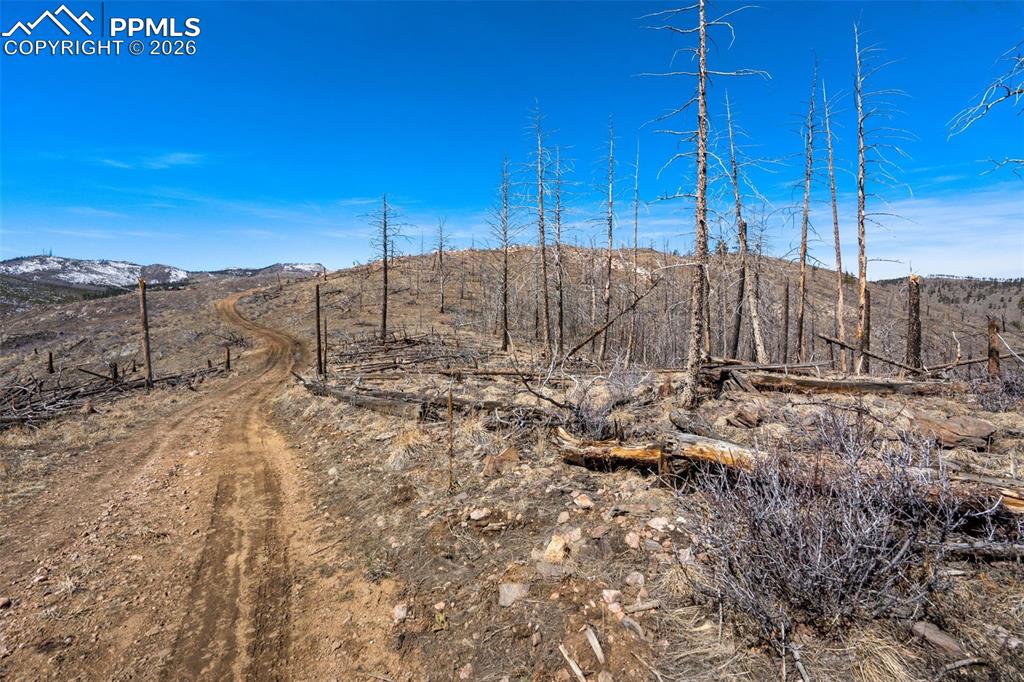 0 Rist Creek Road Bellvue CO 80512