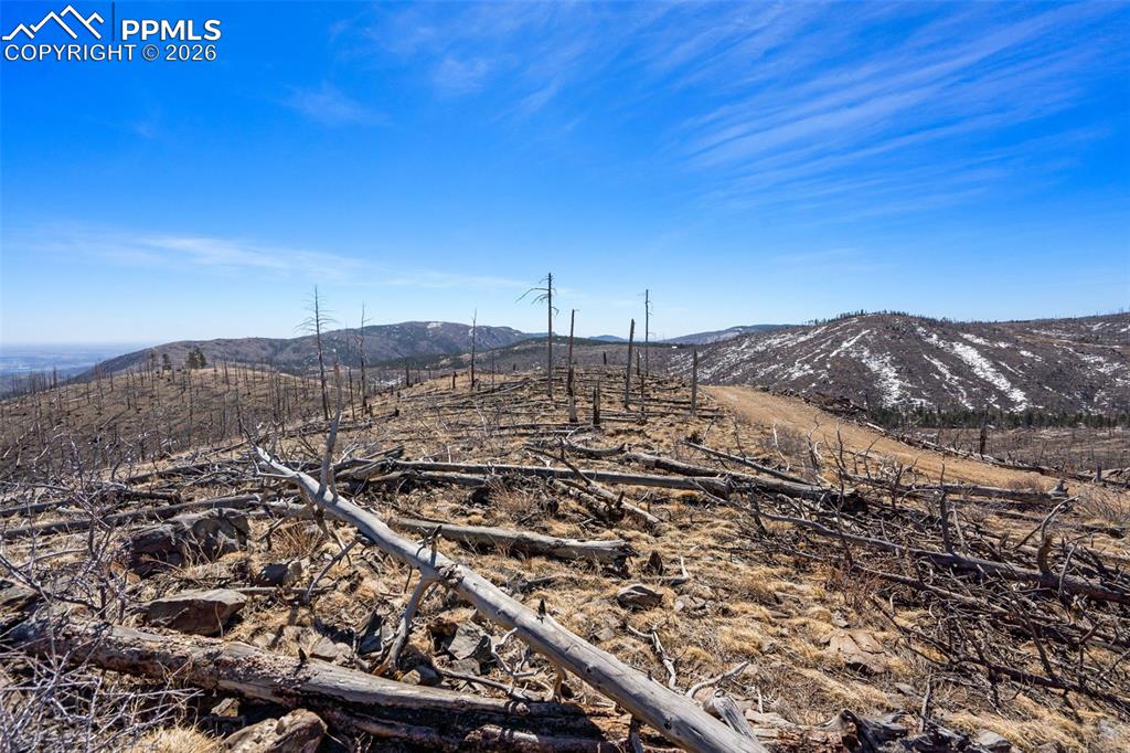 0 Rist Creek Road Bellvue CO 80512