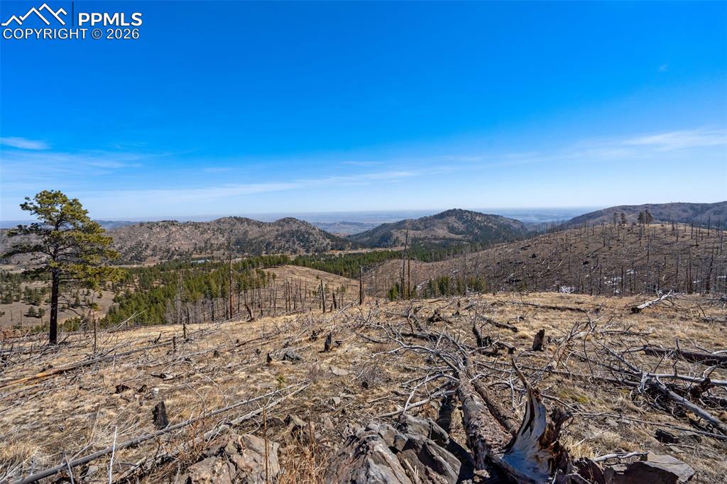 0 Rist Creek Road Bellvue CO 80512