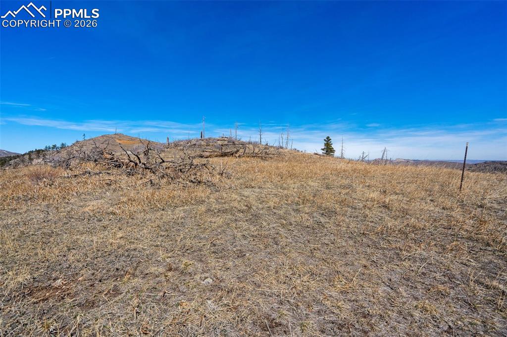 0 Rist Creek Road Bellvue CO 80512