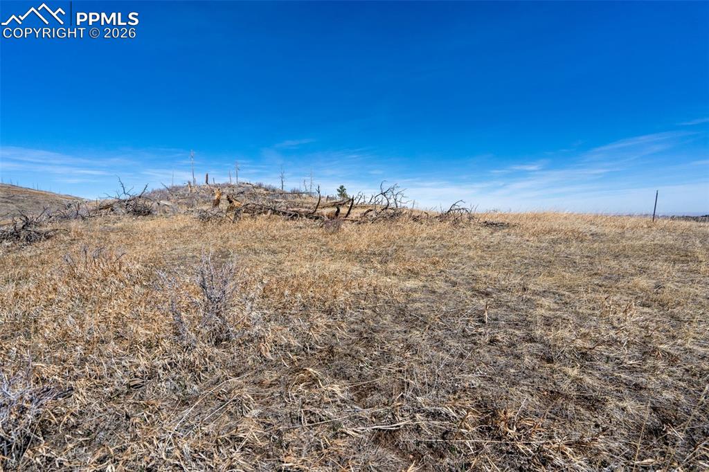 0 Rist Creek Road Bellvue CO 80512