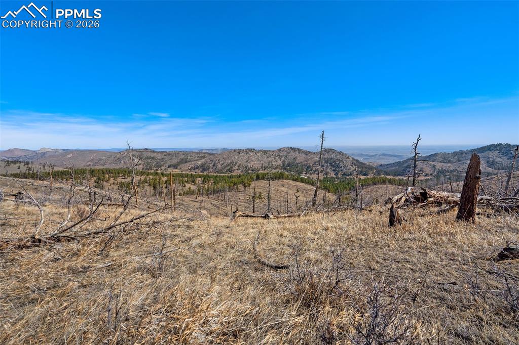 0 Rist Creek Road Bellvue CO 80512