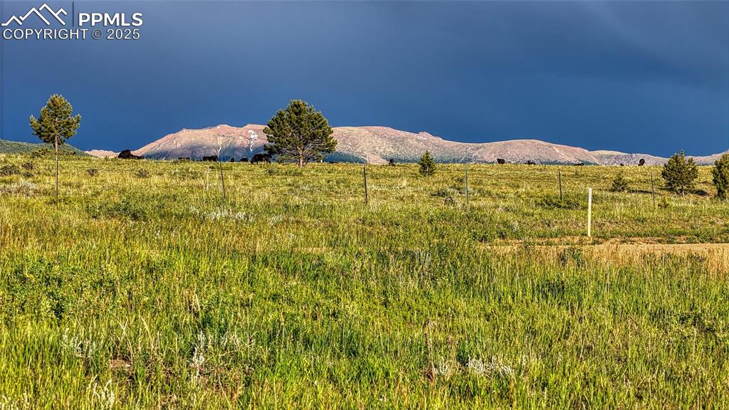 Lot 112 Will Scarlet Drive Divide CO 80814