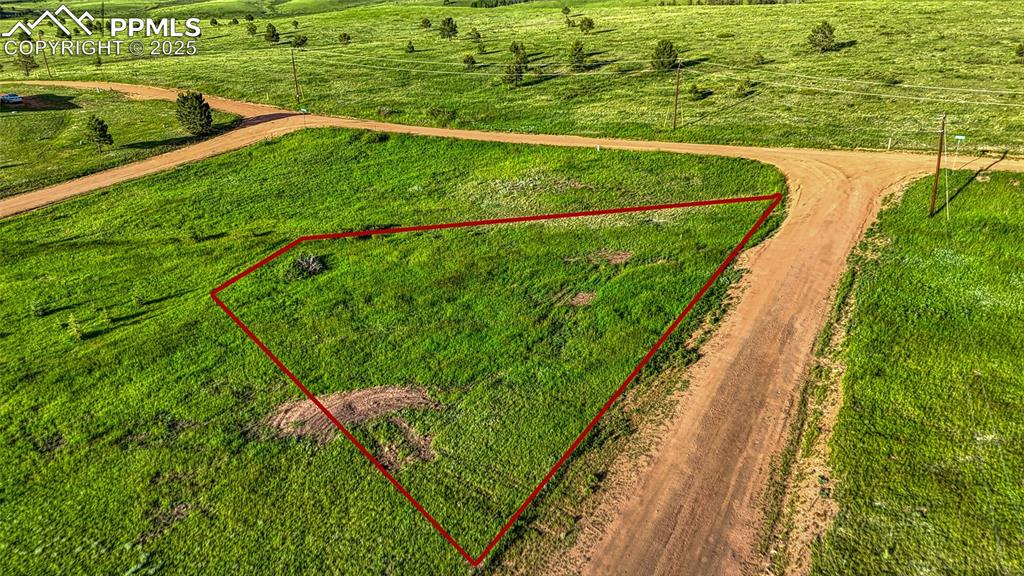 Lot 112 Will Scarlet Drive Divide CO 80814