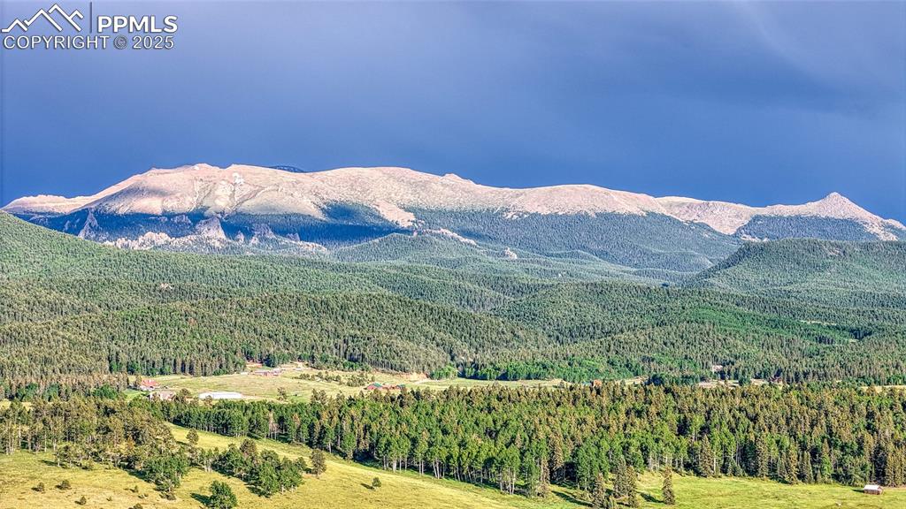 Lot 112 Will Scarlet Drive Divide CO 80814