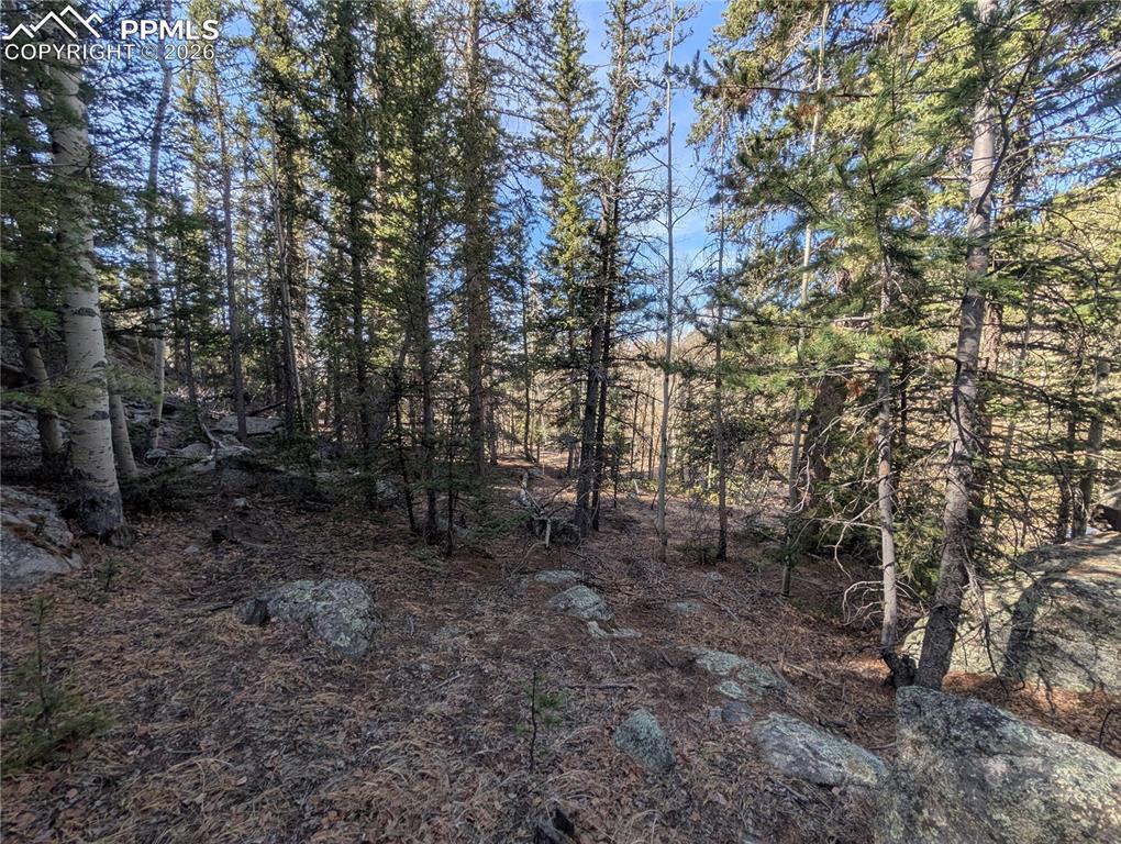 386 Brook Drive Lake George CO 80827