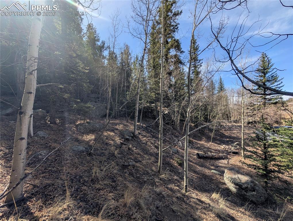 386 Brook Drive Lake George CO 80827