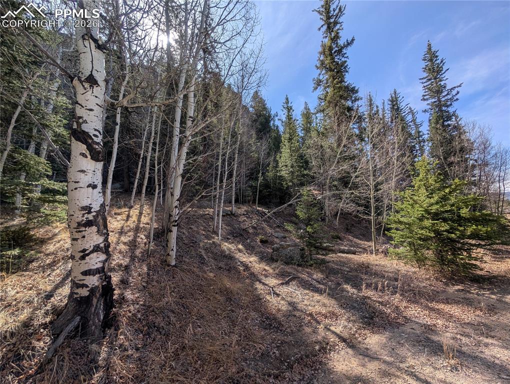 386 Brook Drive Lake George CO 80827