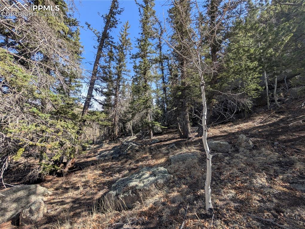 386 Brook Drive Lake George CO 80827