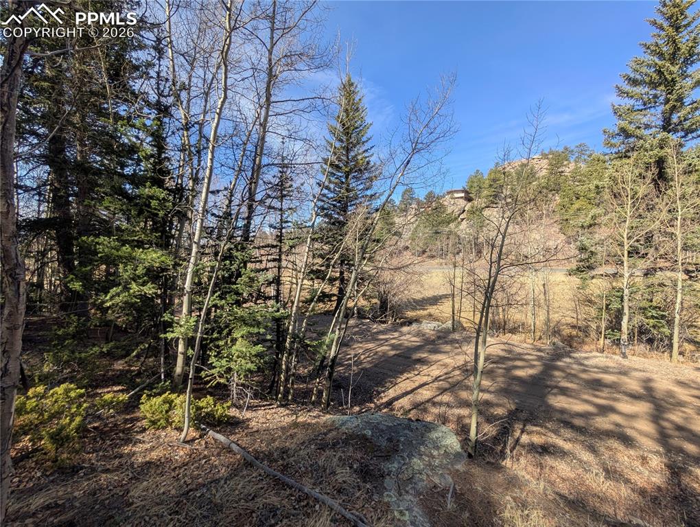 386 Brook Drive Lake George CO 80827