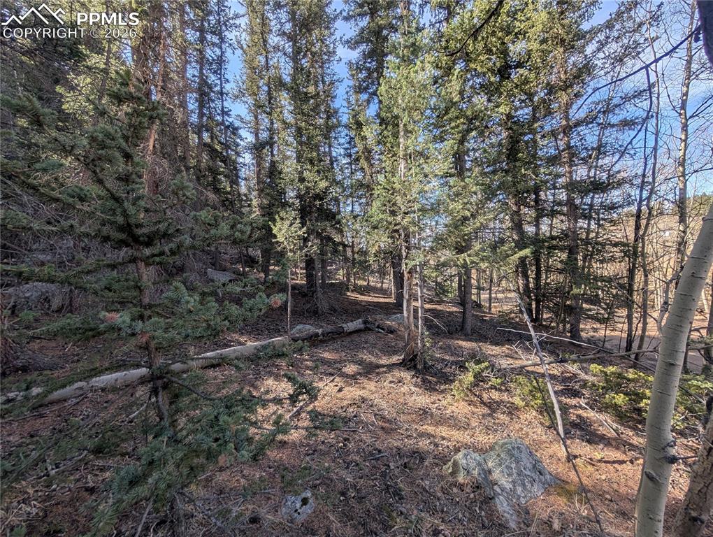386 Brook Drive Lake George CO 80827