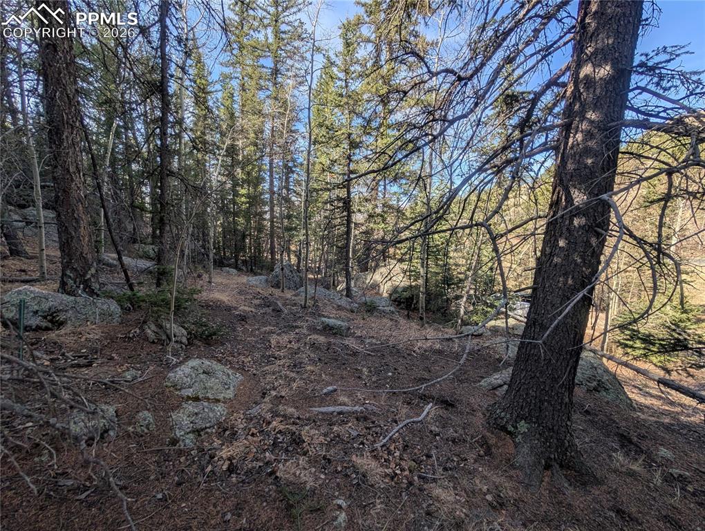386 Brook Drive Lake George CO 80827