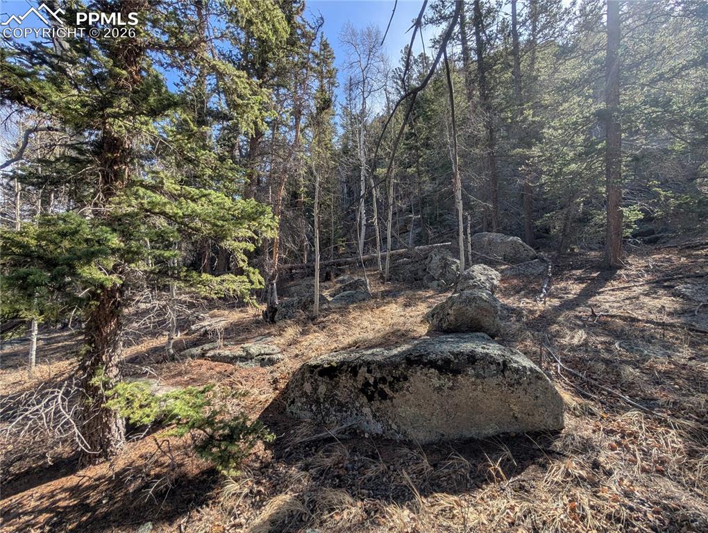 386 Brook Drive Lake George CO 80827
