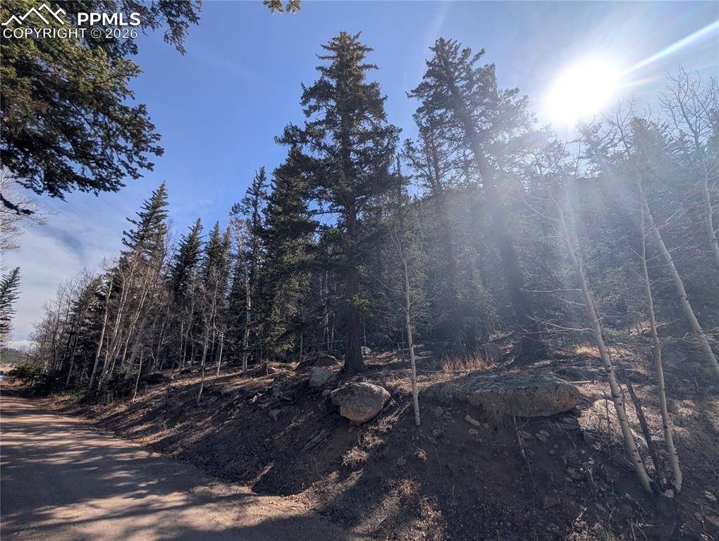 386 Brook Drive Lake George CO 80827