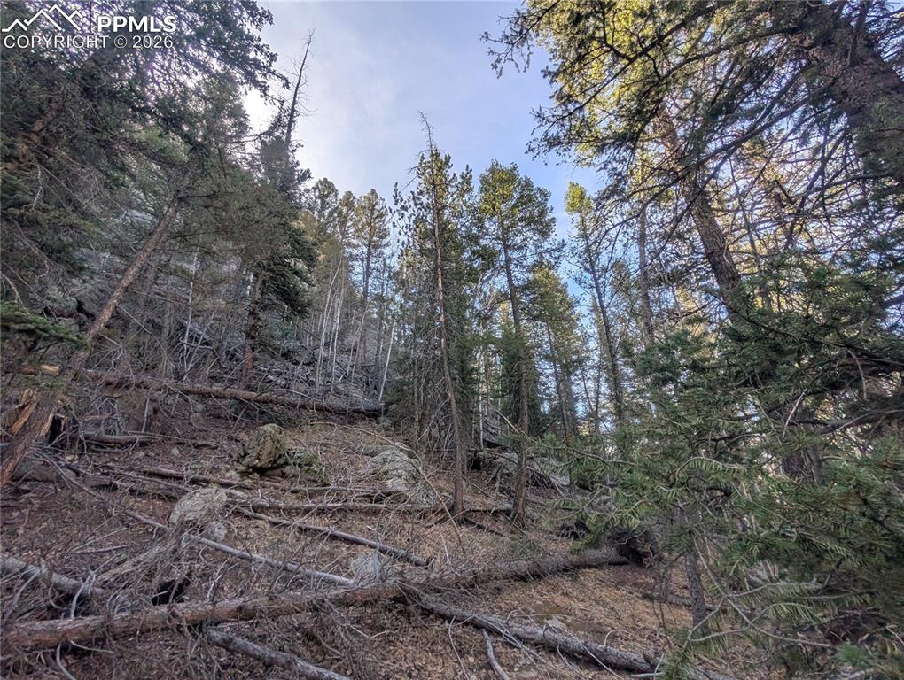 386 Brook Drive Lake George CO 80827