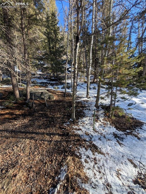 386 Brook Drive Lake George CO 80827