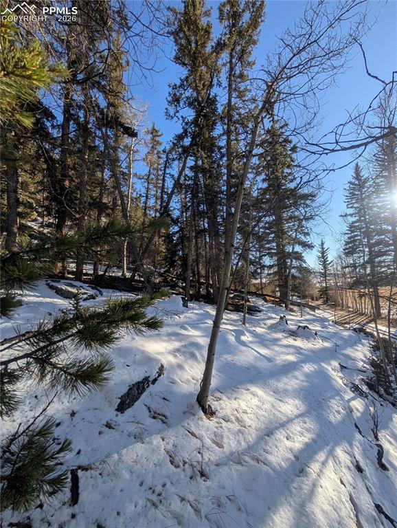 386 Brook Drive Lake George CO 80827