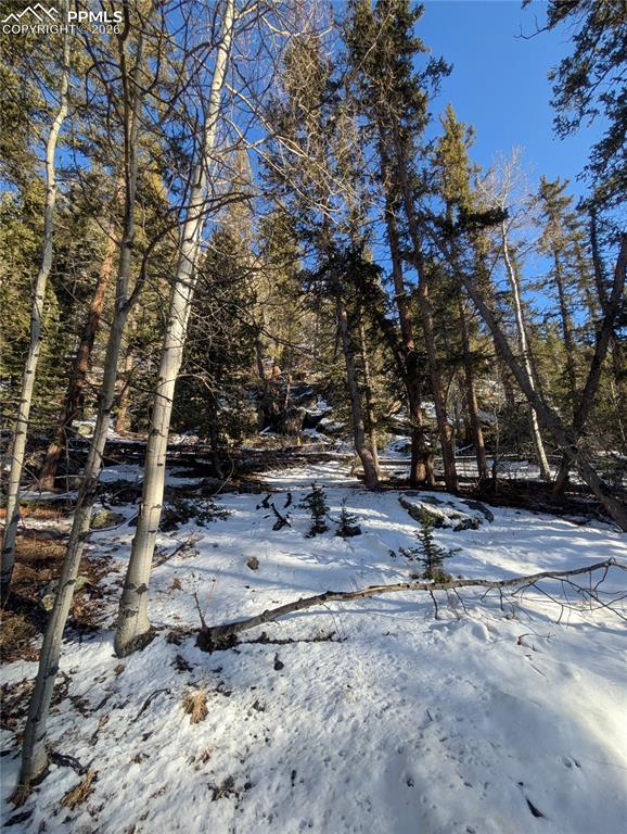 386 Brook Drive Lake George CO 80827