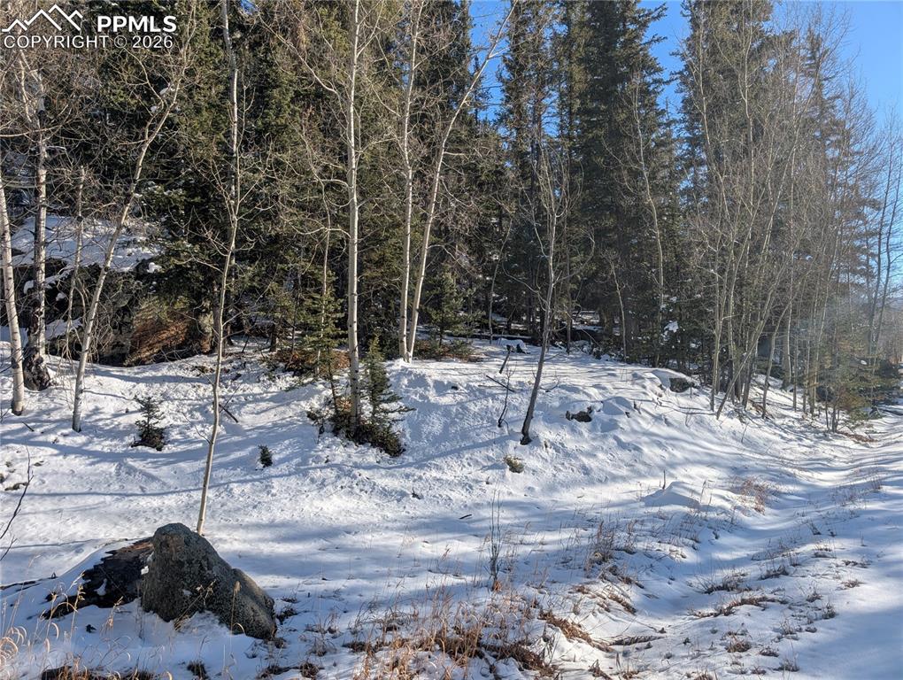 386 Brook Drive Lake George CO 80827