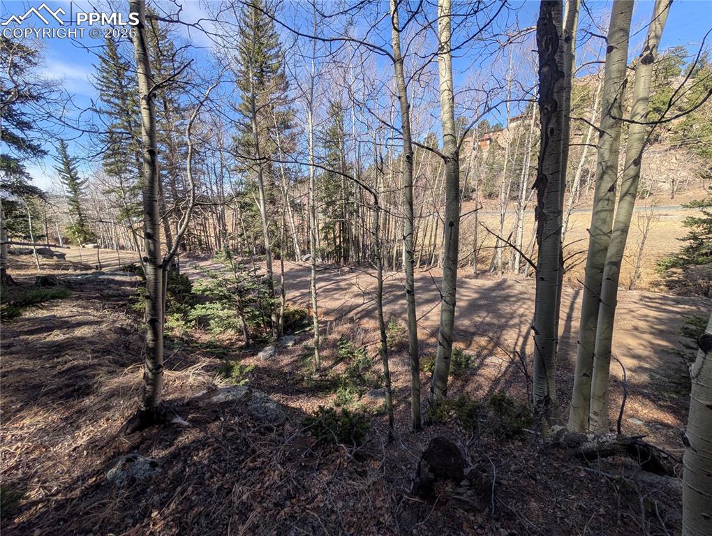 386 Brook Drive Lake George CO 80827