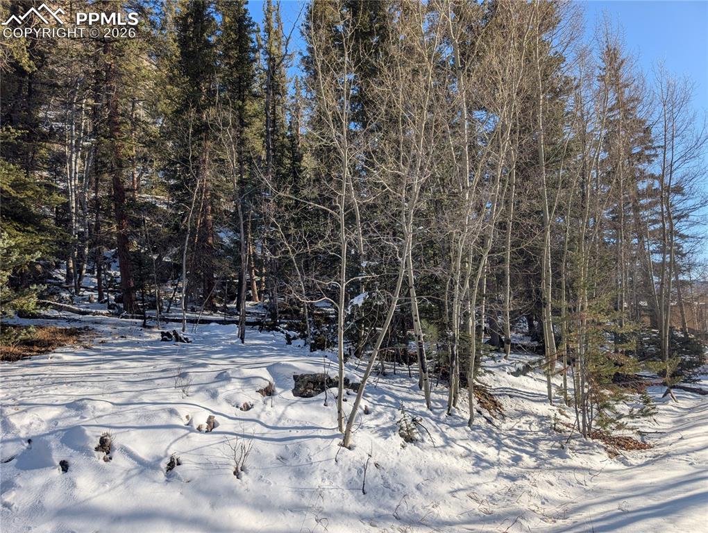 386 Brook Drive Lake George CO 80827